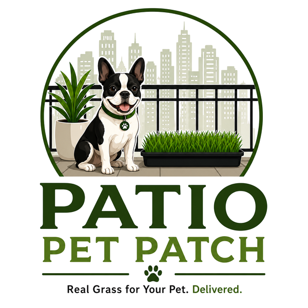 Patio Pet Patch